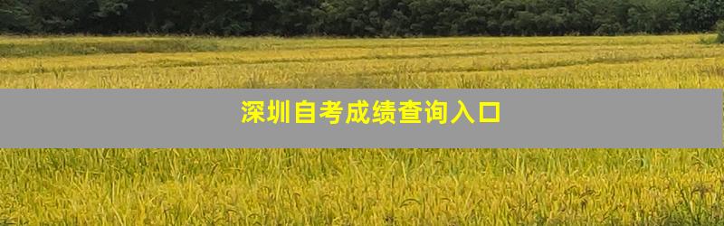 深圳自考成绩查询入口