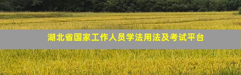 湖北省国家工作人员学法用法及考试平台