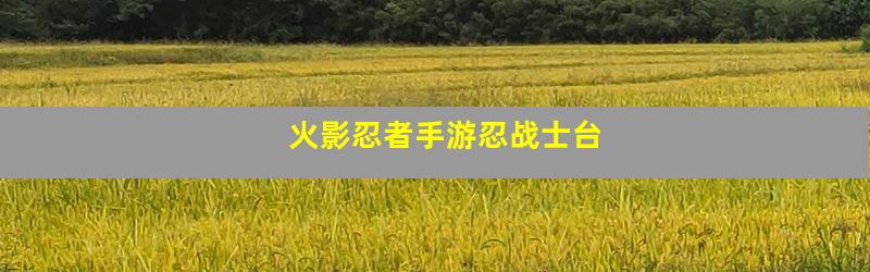 火影忍者手游忍战士台