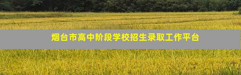 烟台市高中阶段学校招生录取工作平台