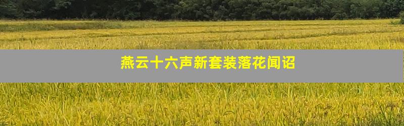 燕云十六声新套装落花闻诏