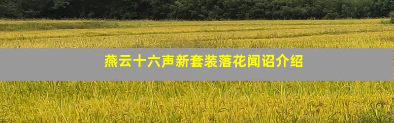 燕云十六声新套装落花闻诏介绍