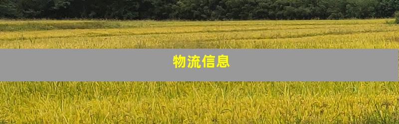 物流信息