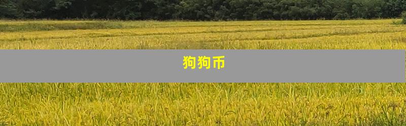 狗狗币