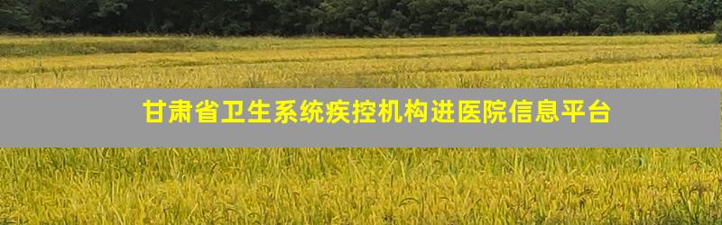 甘肃省卫生系统疾控机构进医院信息平台