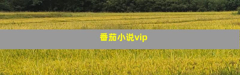 番茄小说vip