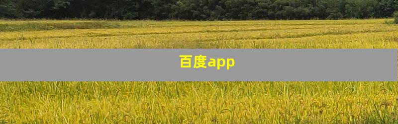 百度app