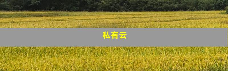 私有云