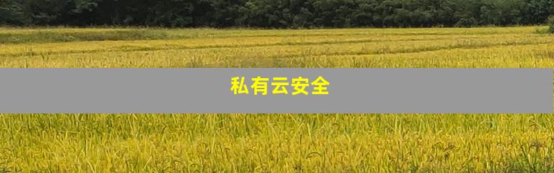 私有云安全