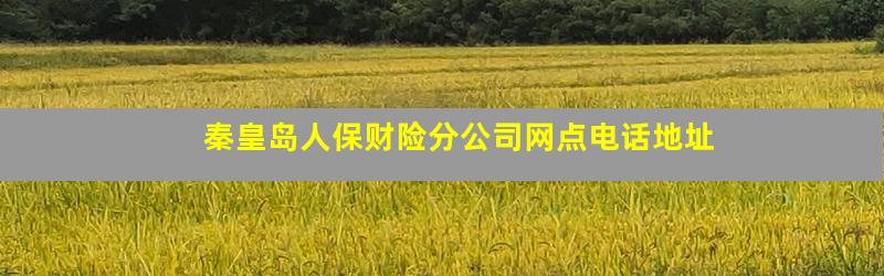秦皇岛人保财险分公司网点电话地址