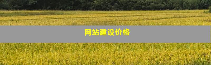 网站建设价格