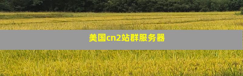 美国cn2站群服务器