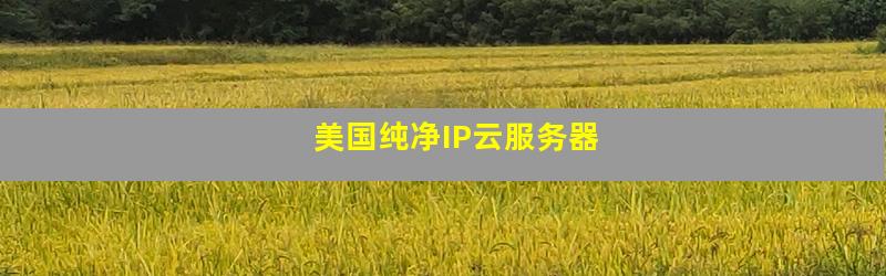 美国纯净IP云服务器