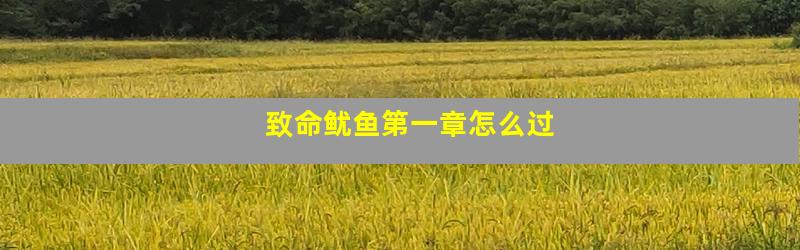 致命鱿鱼第一章怎么过