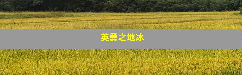 英勇之地冰