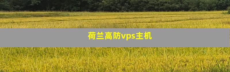荷兰高防vps主机