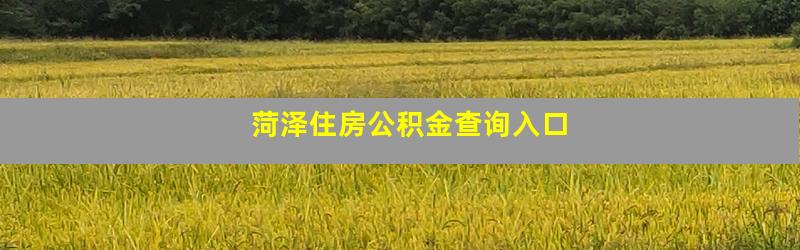 菏泽住房公积金查询入口