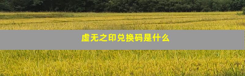 虚无之印兑换码是什么