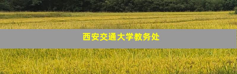 西安交通大学教务处