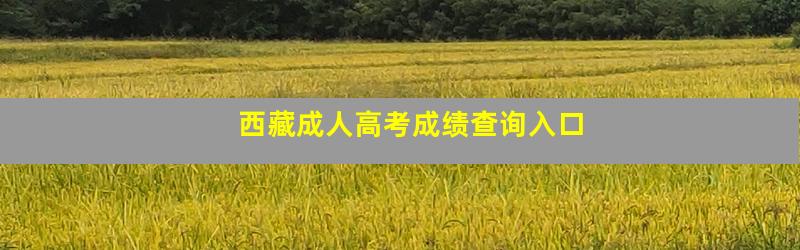 西藏成人高考成绩查询入口