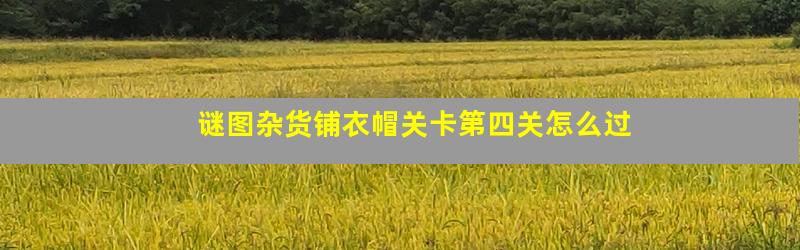 谜图杂货铺衣帽关卡第四关怎么过