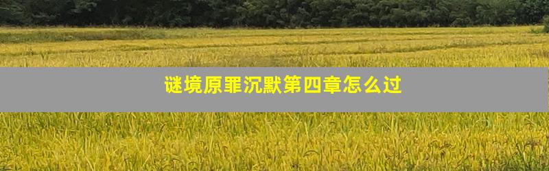 谜境原罪沉默第四章怎么过