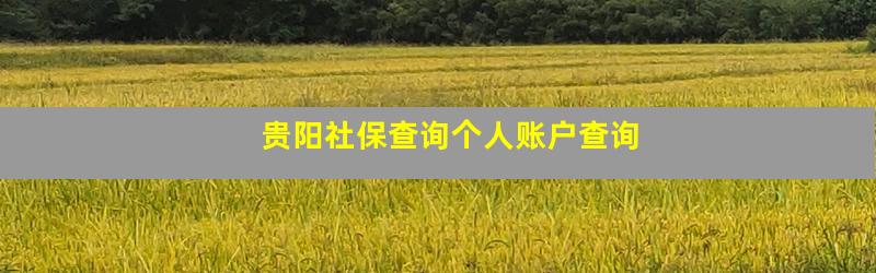 贵阳社保查询个人账户查询