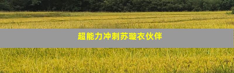 超能力冲刺苏璇衣伙伴