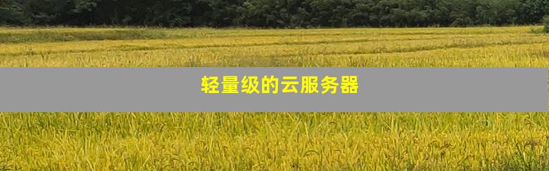 轻量级的云服务器