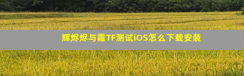 辉烬烬与霜TF测试iOS怎么下载安装