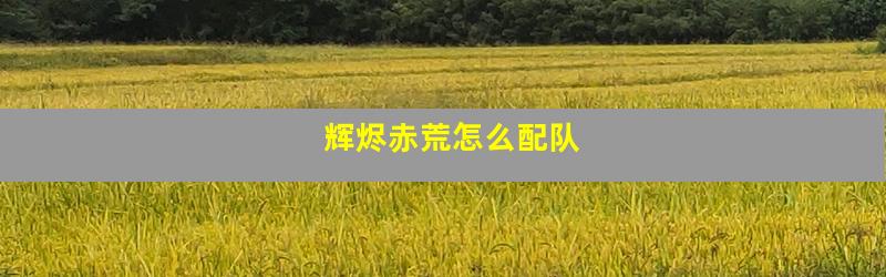 辉烬赤荒怎么配队