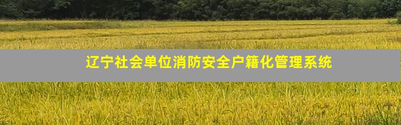 辽宁社会单位消防安全户籍化管理系统