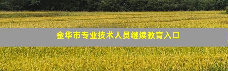 金华市专业技术人员继续教育入口
