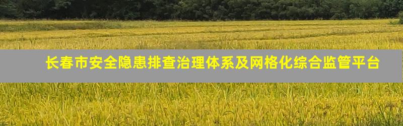 长春市安全隐患排查治理体系及网格化综合监管平台