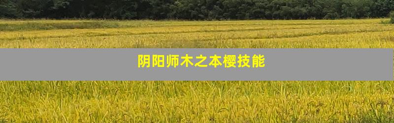 阴阳师木之本樱技能