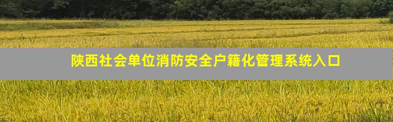 陕西社会单位消防安全户籍化管理系统入口