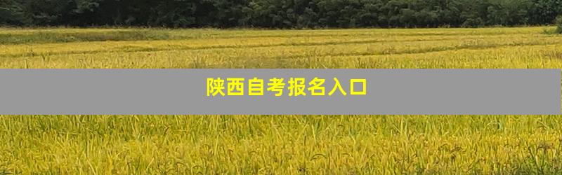 陕西自考报名入口