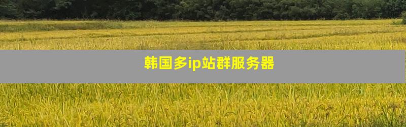 韩国多ip站群服务器