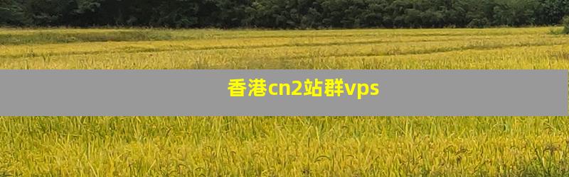 香港cn2站群vps