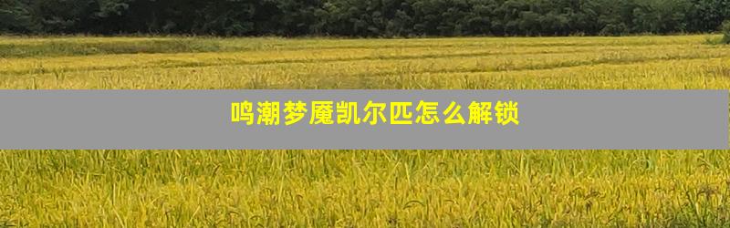 鸣潮梦魇凯尔匹怎么解锁