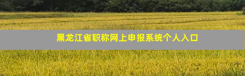 黑龙江省职称网上申报系统个人入口