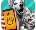 猫狗翻译器免费版下载-pet translator猫狗翻译器下载安装