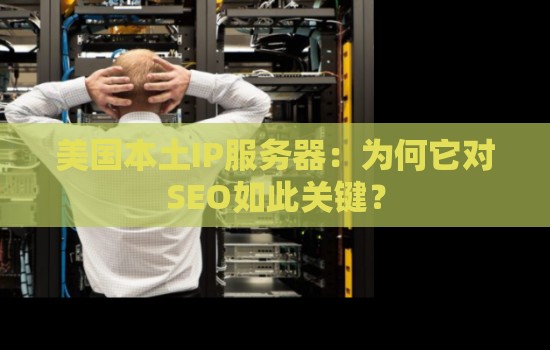 美国本土IP服务器：改善本地搜索结果排名