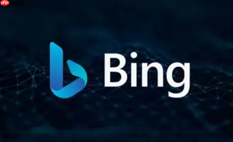 必应bing官网入口国际版_必应Bing国际版官网访问地址